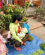 14703_Luang Prabang